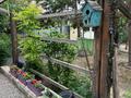 Отдельный дом · 5 комнат · 230 м² · 10 сот., мкр Акбулак, Байтерекова 18 за 250 млн ₸ в Алматы, Алатауский р-н — фото 55