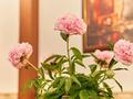 Свободное назначение, офисы, магазины и бутики, склады, общепит, салоны красоты, медцентры и аптеки, образование, развлечения · 127 м² за 70 млн ₸ в Караганде, Казыбек би р-н — фото 11