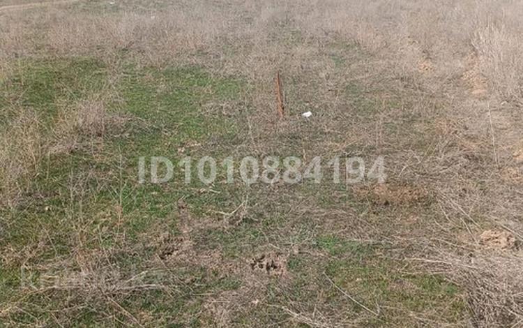 Жер телімі · 6.5 сотық, Новаостройка — 19посёлок но против, бағасы: 5.5 млн ₸ в  — фото 2