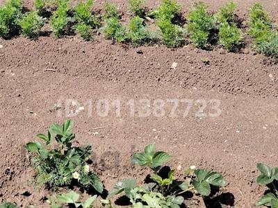 Дача · 3 комнаты · 60 м² · 10 сот., СТ Звезда понтонный мост — За понтонным мостом за 8.5 млн 〒 в Усть-Каменогорске, Ульбинский