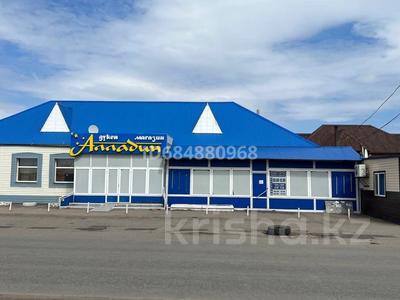 Магазины и бутики • 558 м² за 95 млн 〒 в Петропавловске