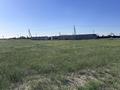 Участок · 10 соток, Алатау 15 — Жаналык за 13.5 млн ₸ в Алматы — фото 3