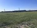 Участок · 10 соток, Алатау 15 — Жаналык за 13.5 млн ₸ в Алматы — фото 7