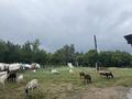 Жеке үй · 4 бөлме · 96 м² · 20 жүзд., Строитель ш/а., Октябрьское 6, бағасы: 17 млн ₸ в Уральске, мкр Строитель — фото 5
