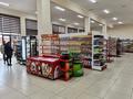 Свободное назначение, магазины и бутики, склады, общепит • 2505 м² за 1.2 млрд 〒 в Сарыагаш — фото 6