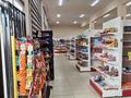 Свободное назначение, магазины и бутики, склады, общепит • 2505 м² за 1.2 млрд 〒 в Сарыагаш — фото 8