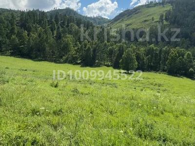 Участок · 2 га, Катон-Карагай за 60 млн 〒