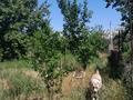 Жеке үй · 4 бөлме · 120 м² · , Садоводческое общество уралкаспрыбвод 52 — Возле школы им Джамбула, бағасы: 29 млн ₸ в Жанаталап — фото 38
