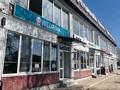 Свободное назначение, офисы, магазины и бутики, общепит, салоны красоты, медцентры и аптеки, образование, развлечения · 815 м² за 330 млн ₸ в Узынагаш — фото 2