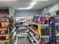 Свободное назначение · 300 м² за 110 млн ₸ в Алматы, Алатауский р-н — фото 8