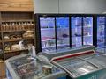 Свободное назначение · 300 м² за 110 млн ₸ в Алматы, Алатауский р-н — фото 12