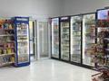 Свободное назначение, магазины и бутики · 90 м² за 580 000 ₸ в Астане, Сарайшык р-н — фото 5