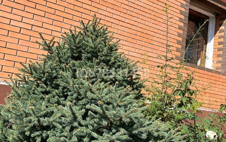 Отдельный дом · 4 комнаты · 130 м² · 10 сот., Шашкина 21 — Беркимбаева за 55 млн ₸ в Экибастузе — фото 2