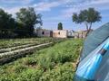 Личное подсобное хозяйство · 25000 м², бағасы: 15 млн ₸ в Актобе, мкр Акжар — фото 4