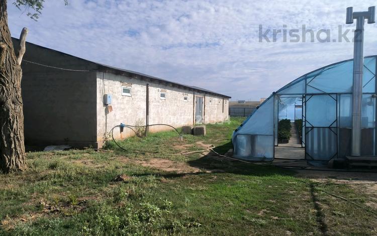 Личное подсобное хозяйство · 25000 м², бағасы: 15 млн ₸ в Актобе, мкр Акжар — фото 8