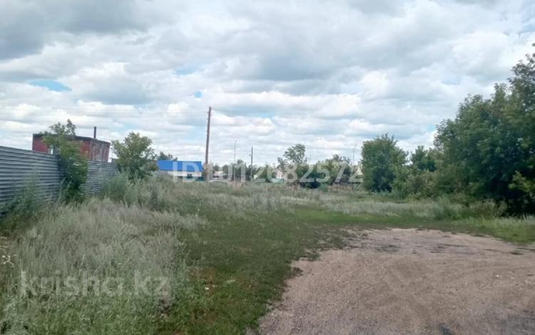 Участок · 15 соток, Сейфуллина — Сейфуллина Тәуелсіздік за 2.5 млн ₸ в Киевке — фото 2