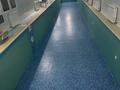 Отдельный дом · 5 комнат · 180 м² · 7.8 сот., Южная 82 за 898 млн 〒 в Новосибирске — фото 48
