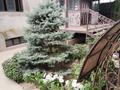 Жеке үй · 15 бөлме · 450 м² · 10 жүзд., мкр Северо-Запад, Алимтау 48, бағасы: 120 млн ₸ в Шымкенте, Абайский р-н — фото 20
