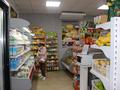 Магазины и бутики • 235 м² за 115 млн 〒 в Щучинске — фото 6