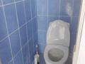 1-бөлмелі пәтер · 20 м² · 1/2 қабат, мкр Айгерим-2, Кожаханова 2/3 — С ул.Ахатаева7, бағасы: 80 000 ₸ в Алматы, Алатауский р-н — фото 10