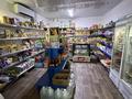Жеке үй · 5 бөлме · 200 м² · 6 жүзд., Шиели 15, бағасы: 65 млн ₸ в Коянкусе — фото 8