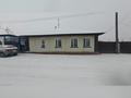 Жеке үй · 4 бөлме · 100 м² · 4 сот., Михаэлиса — Автодорожная-Рыкова, бағасы: 24 млн 〒 в Семее — фото 25