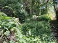 Участок · 8.6 соток, Ст Сантехник 48 за 3 млн ₸ в Алматы, Медеуский р-н — фото 14