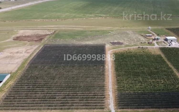 Сельское хозяйство • 77 м² за 190 млн 〒 в Шымкенте, Абайский р-н — фото 24