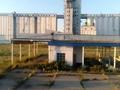 Сельское хозяйство • 3000 м² за 120 млн 〒 в Тимирязево — фото 2