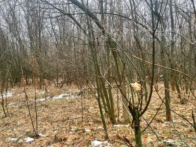 Участок · 0.177 га, Уральск за 16.5 млн ₸