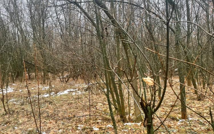 Жер телімі · 0.177 га, Уральск, бағасы: 16.5 млн ₸ — фото 2