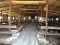 Қоймалар, ауыл шаруашылығы · 75000 м², бағасы: 750 000 ₸ в Жаналык (Талгарский район) — фото 15