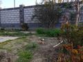 Отдельный дом · 4 комнаты · 120 м² · 5 сот., Момышулы 4 — 1 микрорайон, Момышулы за 25 млн ₸ в Шелек — фото 40