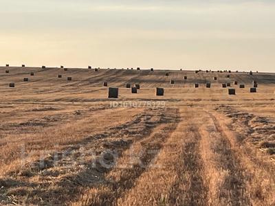 Еркін · 15000 м², бағасы: 5 млн ₸ в Алматинской обл., Таргап