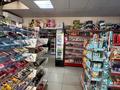 Офисы, магазины и бутики, общепит · 340 м² за 55 млн ₸ в Шортандах — фото 12