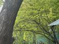 Отдельный дом · 4 комнаты · 120 м² · 10 сот., мкр Алгабас, Серикбаева 94 за 45 млн ₸ в Алматы, Алатауский р-н — фото 9