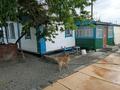 Отдельный дом · 4 комнаты · 76 м² · 8 сот., Лесная 7 за 8 млн ₸ в Акколе — фото 4