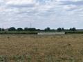 Участок · 5 соток, 123 за 5.5 млн ₸ в Коксай (пути Ильича) — фото 2