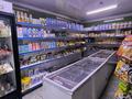 Магазины и бутики · 56 м² за 50 млн ₸ в Алматы, Алатауский р-н — фото 7