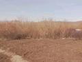 Саяжай · 3 бөлме · 35 м² · 8 жүзд., Красинец 14 — Озеленитель, бағасы: 3.5 млн ₸ в Усть-Каменогорске, Ульбинский — фото 6