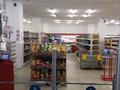 Магазины и бутики • 1100 м² за 5.5 млн 〒 в Узынагаш — фото 19