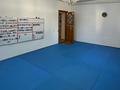 Жеке үй · 6 бөлме · 210 м² · 6 жүзд., мкр Шубар, Карасакал, бағасы: 1.8 млн ₸ в Астане, Есильский р-н — фото 20