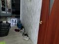 2-бөлмелі пәтер · 68.5 м² · 1/15 қабат, Богембайулы 23д — Район 1000 мелочей, бағасы: 32.5 млн ₸ в Семее — фото 3