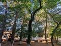 1-комнатная квартира · 31.5 м² · 4/5 этаж, желтоксан 30/1 за 13.6 млн ₸ в Астане, Сарыарка р-н — фото 10
