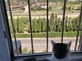 3-комнатная квартира · 105 м² · 8/9 этаж, мкр 12 64 за 37 млн ₸ в Актобе — фото 12