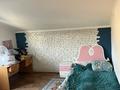 Отдельный дом · 4 комнаты · 140 м² · 7 сот., Иргели 6 за 55 млн 〒 в Жамбыле — фото 33