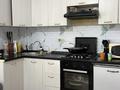 Отдельный дом · 3 комнаты · 100 м² · 8 сот., Шалқар 27 — 17 үй за 25 млн 〒 в Узынагаш — фото 20