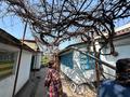 Отдельный дом · 3 комнаты · 50 м² · 10 сот., Ахметова 10 за 15 млн 〒 в Сарыагаш — фото 12