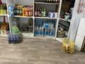 Еркін, дүкендер мен бутиктер · 100 м², бағасы: 80 млн ₸ в Сатпаев — фото 4