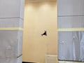 4-бөлмелі пәтер · 120 м² · 10/12 қабат, Анет баба, бағасы: 82.5 млн ₸ в Астане, Нура р-н — фото 5